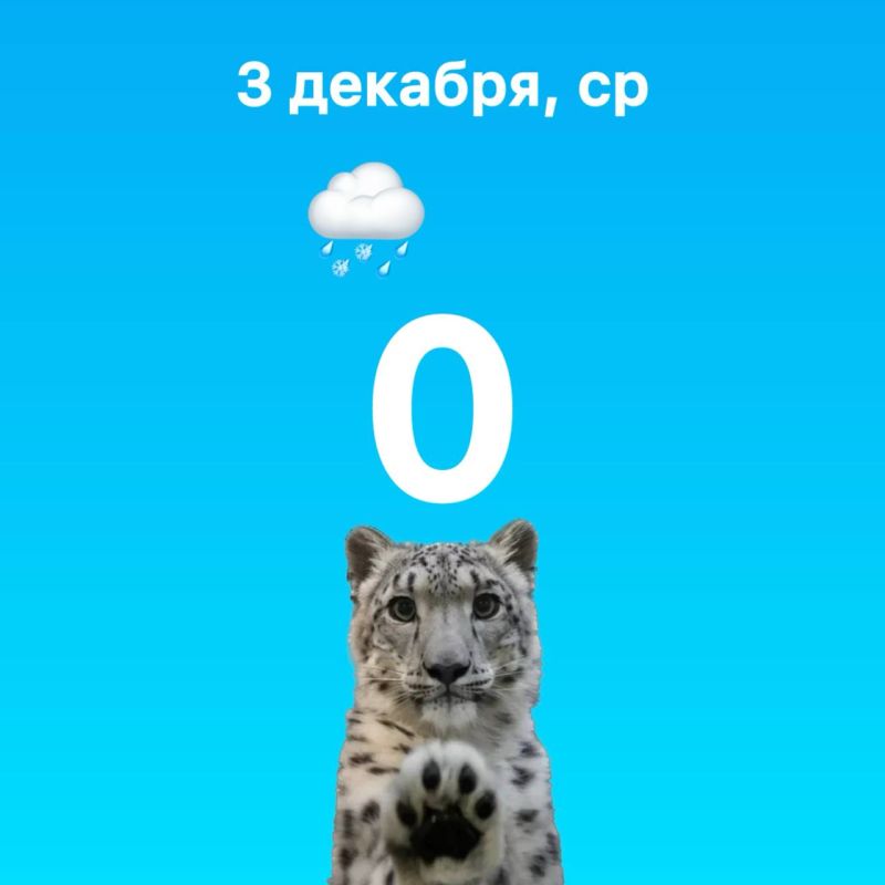 Сегодня синоптики обещают мокрый снег