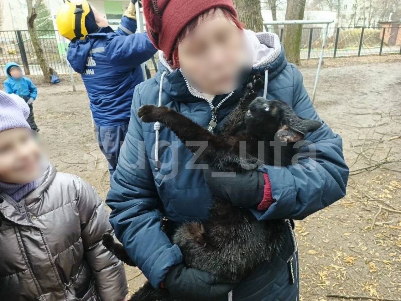 В Уфе спасли кота, 3 дня просидевшего на дереве В Уфе спасли кота, 3 дня просидевшего на дереве