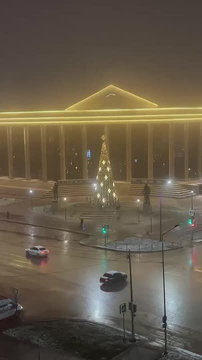 В Уфе перед Дворцом борьбы появилась ёлка