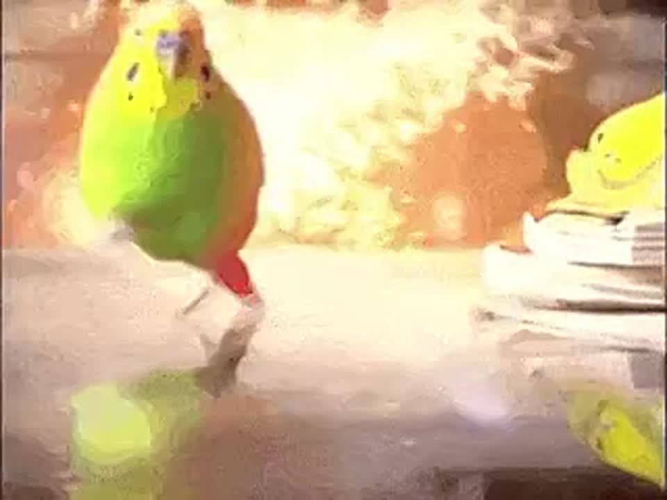 Землю накрыла мощная магнитная буря