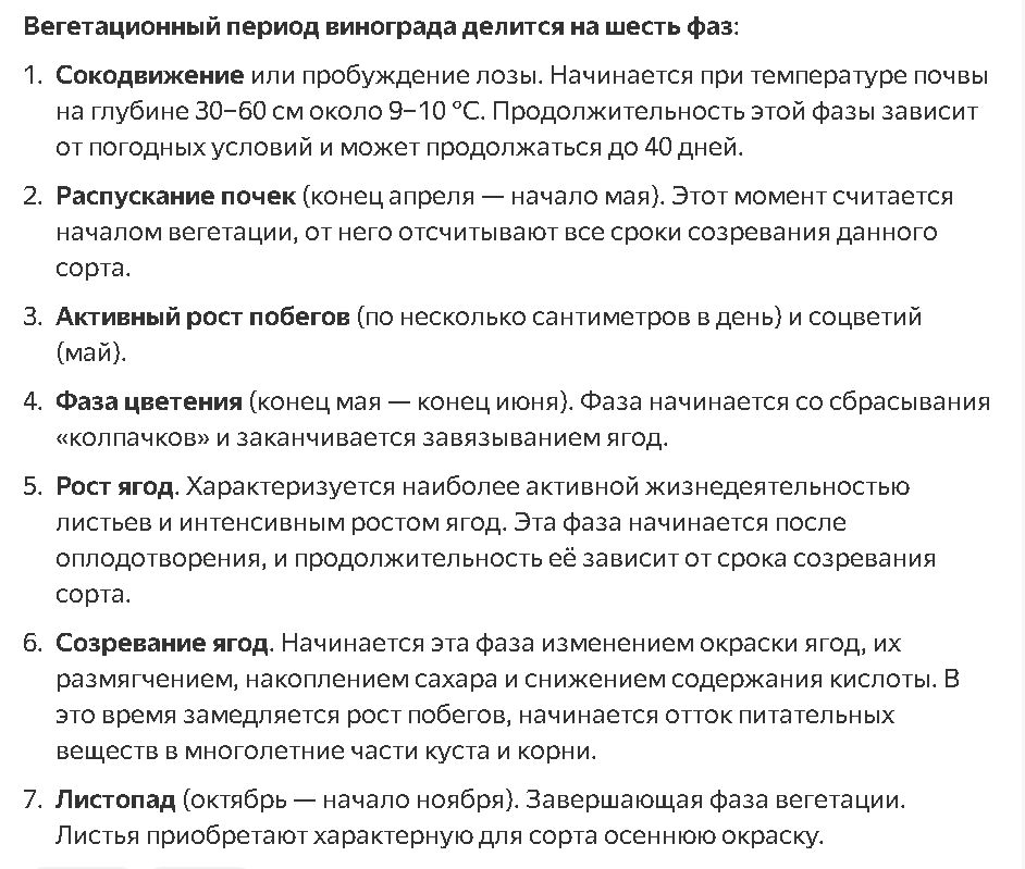 Ответы на вопросы виноградарей: прививки, уход и борьба с вредителями