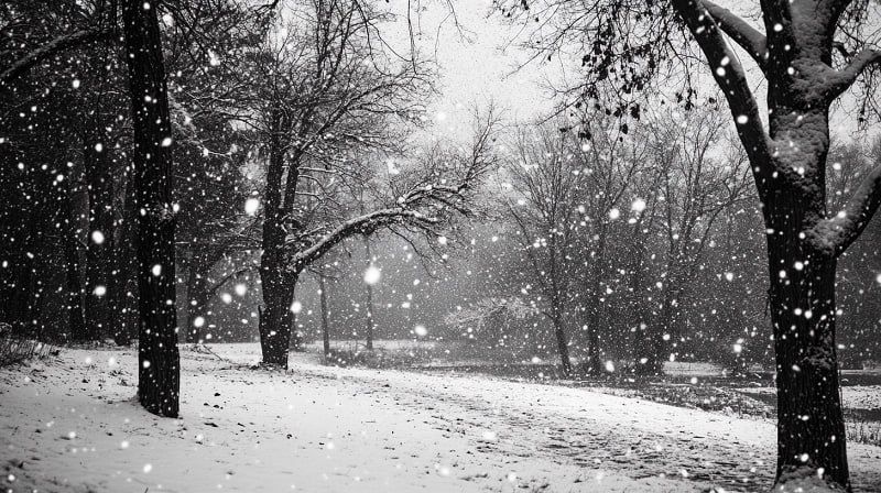 Будьте осторожны. Завтра, 6 декабря, ожидается облачная погода с прояснениями