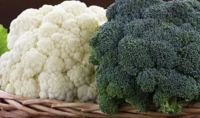 Осенний урожай: секреты успешной посадки брокколи и цветной капусты