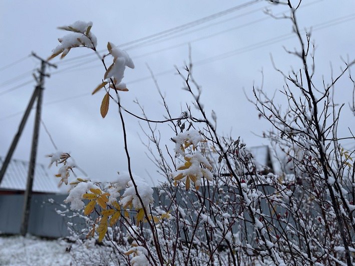 По данным Башгидромета, 5 декабря на территории республики ожидается облачная погода с прояснениями