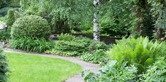 Создаем мини-сад: простые и креативные идеи для вашего зеленого уголка