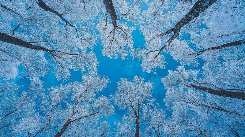 Зима на подходе. Сегодня, 5 декабря, местами ожидается мокрый снег, гололед и гололедица на дорогах