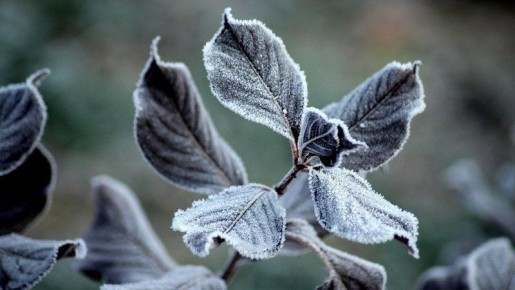 Жителей Башкирии предупреждают о непогоде