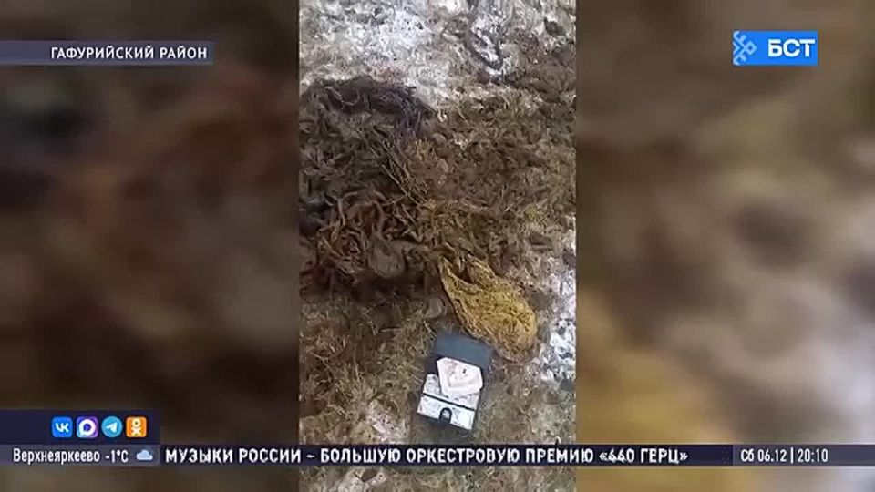 Житель Башкирии обнаружил деньги в желудке коровы