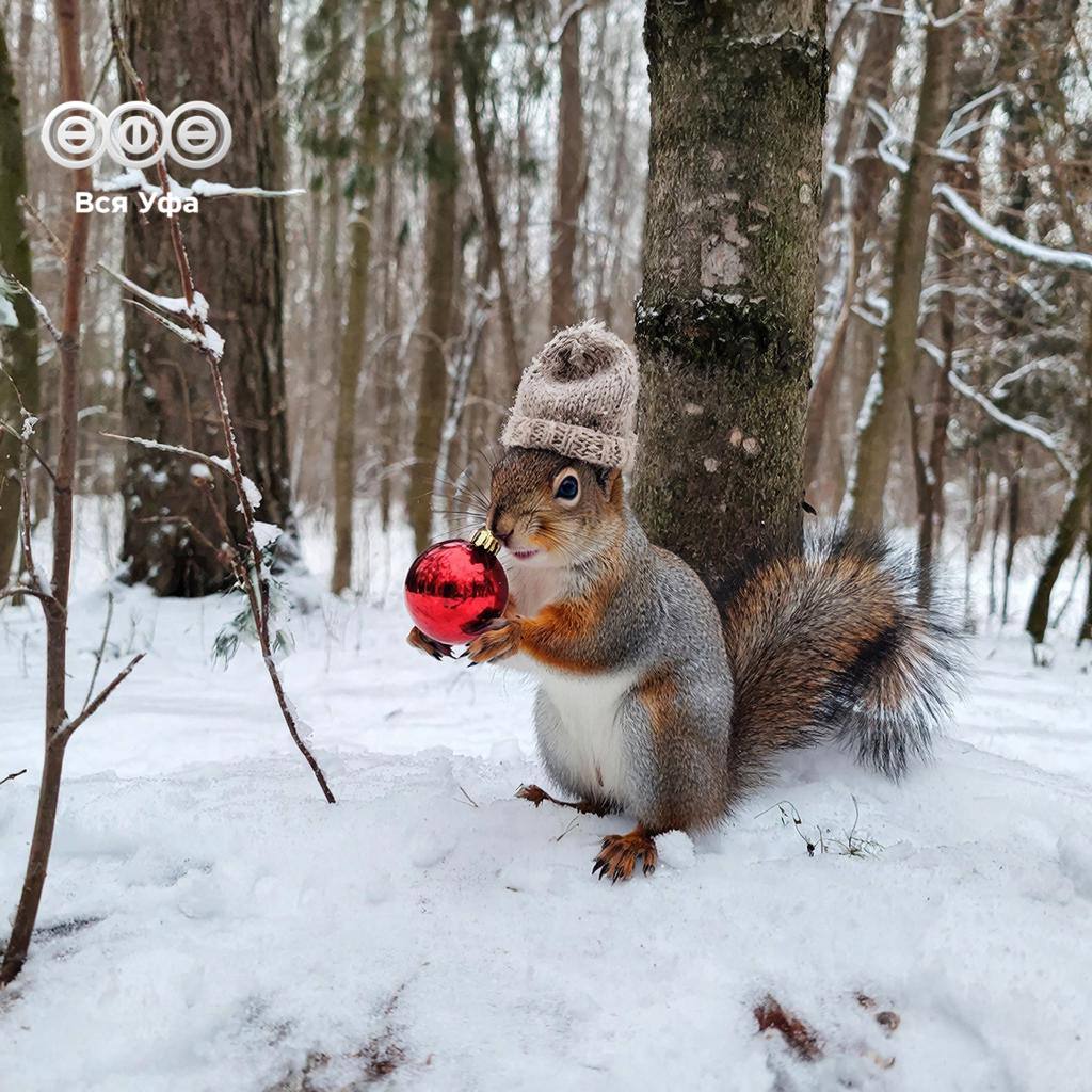 По данным Башгидромета, 7 декабря в Уфе облачная погода с прояснениями