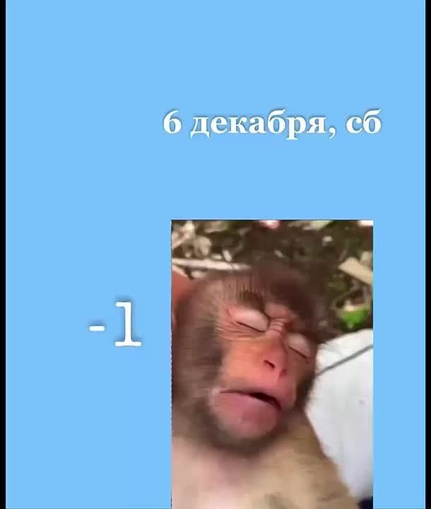 Доброе утро!. - за удачные выходные!