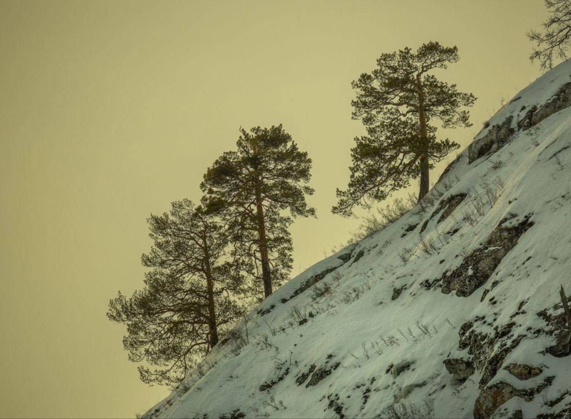 Мурадымовское ущелье, Кугарчинский район Мурадымовское ущелье, Кугарчинский район