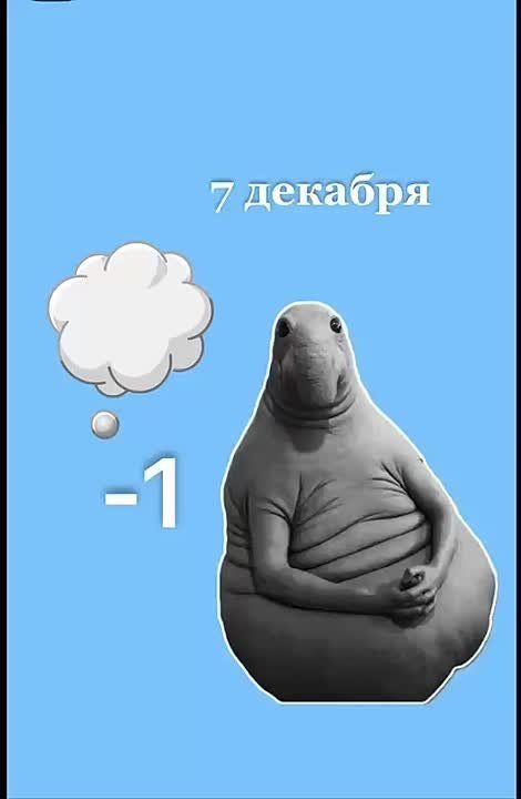 Шёл седьмой день зимы! Ждём снега Доброе утро!