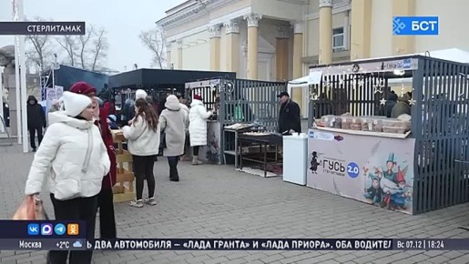 В Стерлитамаке прошел фестиваль «Гусь 2.0»