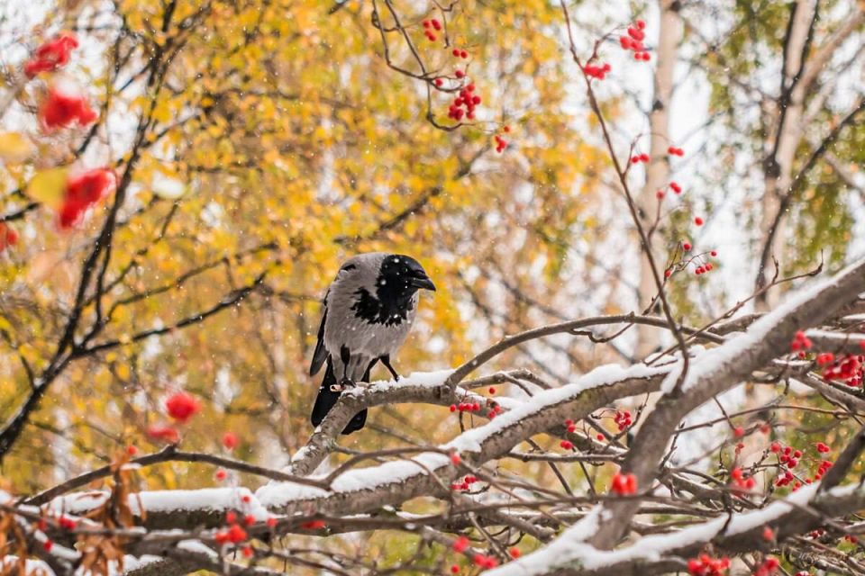 По данным Башгидромета, 7 декабря на территории республики ожидается облачная погода с прояснениями