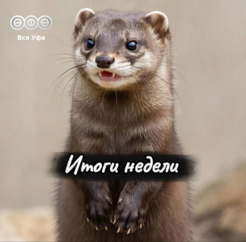 Итоги прошедшей недели. Инорс ждет преображение Уфимцы могут отправить письмо Деду Морозу Прямая линия с мэром Воспитателя детсада признали виновной в нанесении побоев детям 38 новых остановок появятся в Уфе в ближайшее...