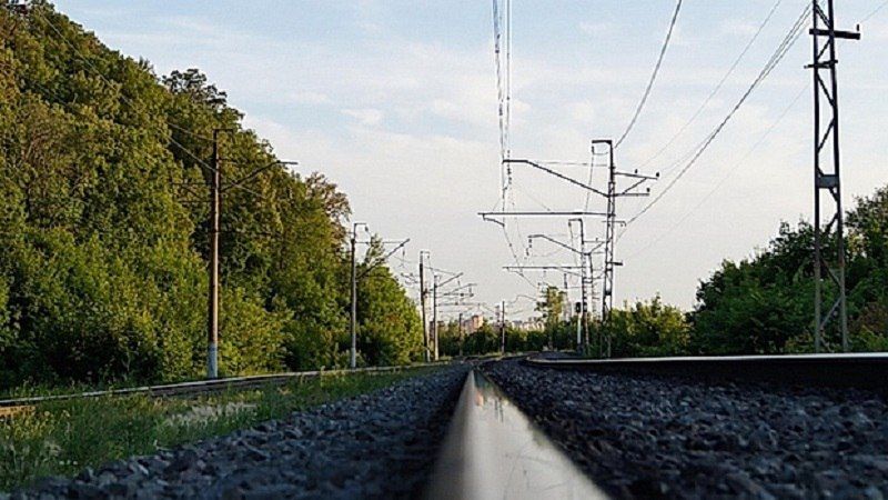 Переходите пути только в установленных местах