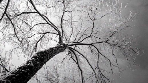 Жителей предупреждают о гололедице и тумане