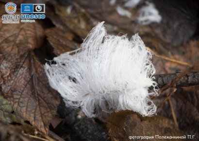 Редкое явление в геопарке «Янган-Тау»