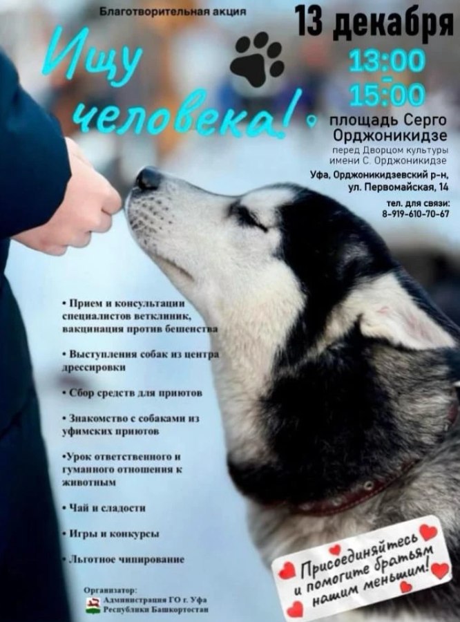 В эту субботу, 13 декабря, на площади Орджоникидзе пройдет благотворительная акция «Ищу человека»