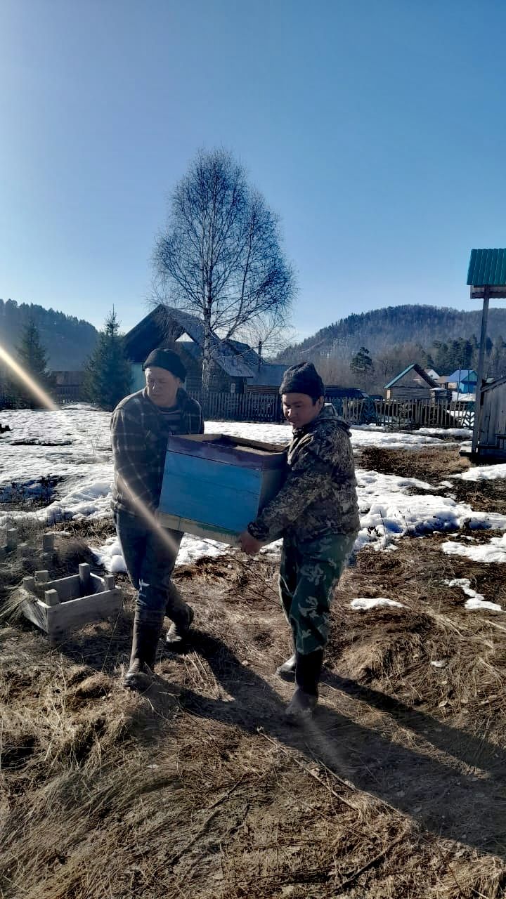 Ушли на месяц позже. Пасечники нацпарка «Башкирия» занесли ульи в зимовники Ушли на месяц позже. Пасечники нацпарка «Башкирия» занесли ульи в зимовники