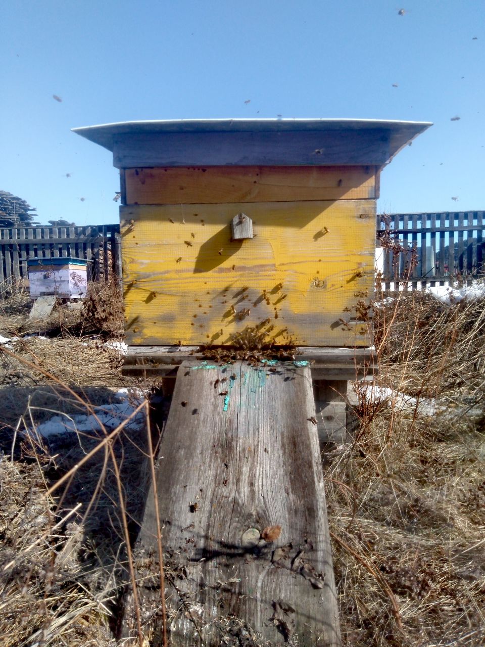 Ушли на месяц позже. Пасечники нацпарка «Башкирия» занесли ульи в зимовники Ушли на месяц позже. Пасечники нацпарка «Башкирия» занесли ульи в зимовники