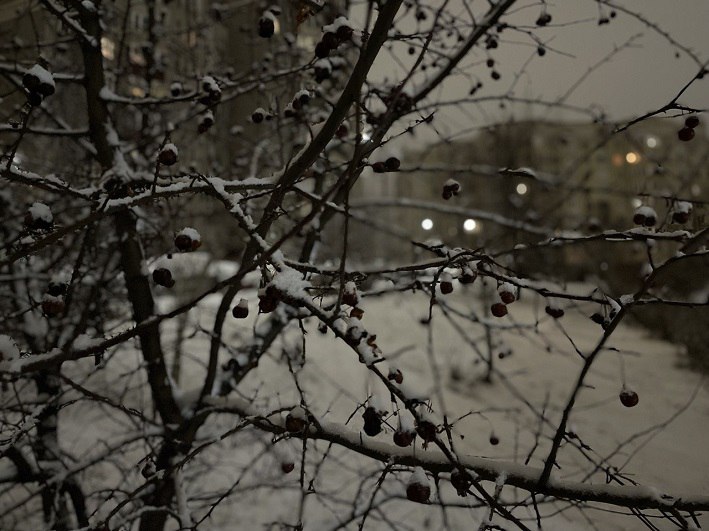 По данным Башгидромета, 9 декабря на территории республики ожидается переменная облачность