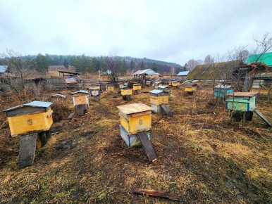 Ушли на месяц позже. Пасечники нацпарка «Башкирия» занесли ульи в зимовники