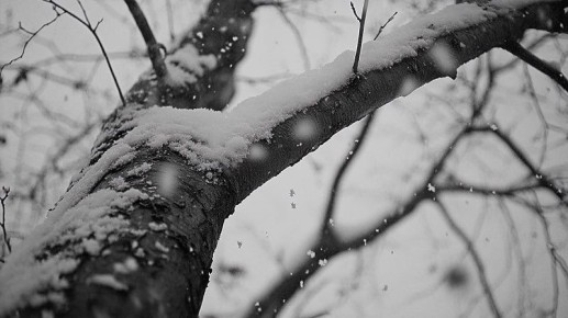 Жителей Башкирии ждет гололедица на дорогах