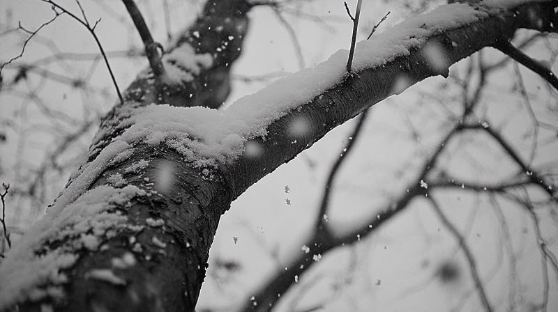 Жителей Башкирии ждет гололедица на дорогах