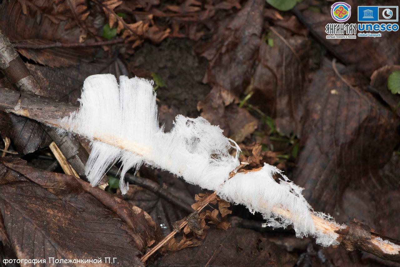 «Ледяные волосы» сфотографировали в геопарке «Янган-Тау» в Башкирии «Ледяные волосы» сфотографировали в геопарке «Янган-Тау» в Башкирии