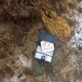 В Башкирии корова съела кошелёк с деньгами и документами