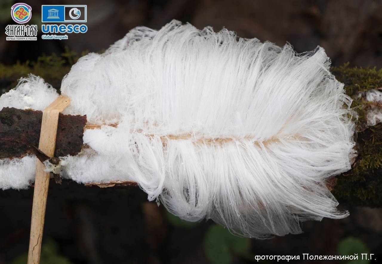 Редкое явление в геопарке «Янган-Тау» Редкое явление в геопарке «Янган-Тау»