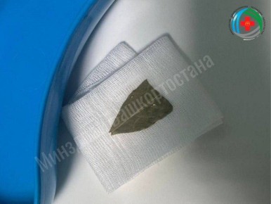 Чуть не задохнулась от лаврового листа