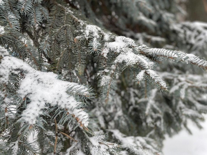 По данным Башгидромета, 11 декабря на территории республики ожидается облачная погода с прояснениями