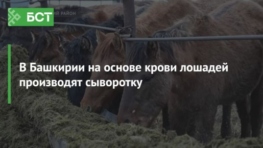 В Башкирии на основе крови лошадей производят сыворотку