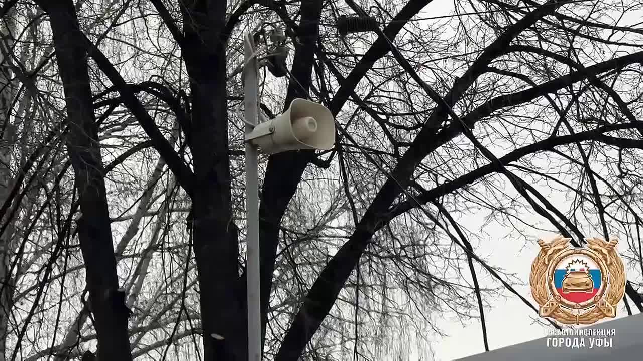 Меры по обеспечению безопасности пешеходов