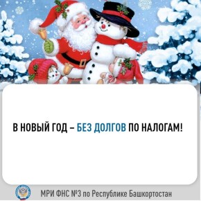 Межрайонная ИФНС России №3 по Республике Башкортостан проводит акцию «В Новый год – без долгов по налогам!»