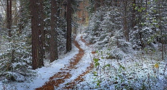 Пропал житель Альшеевского района