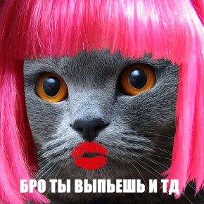 Мамаша из Уфы пыталась сделать из дочери-подростка и её подруги собутыльниц