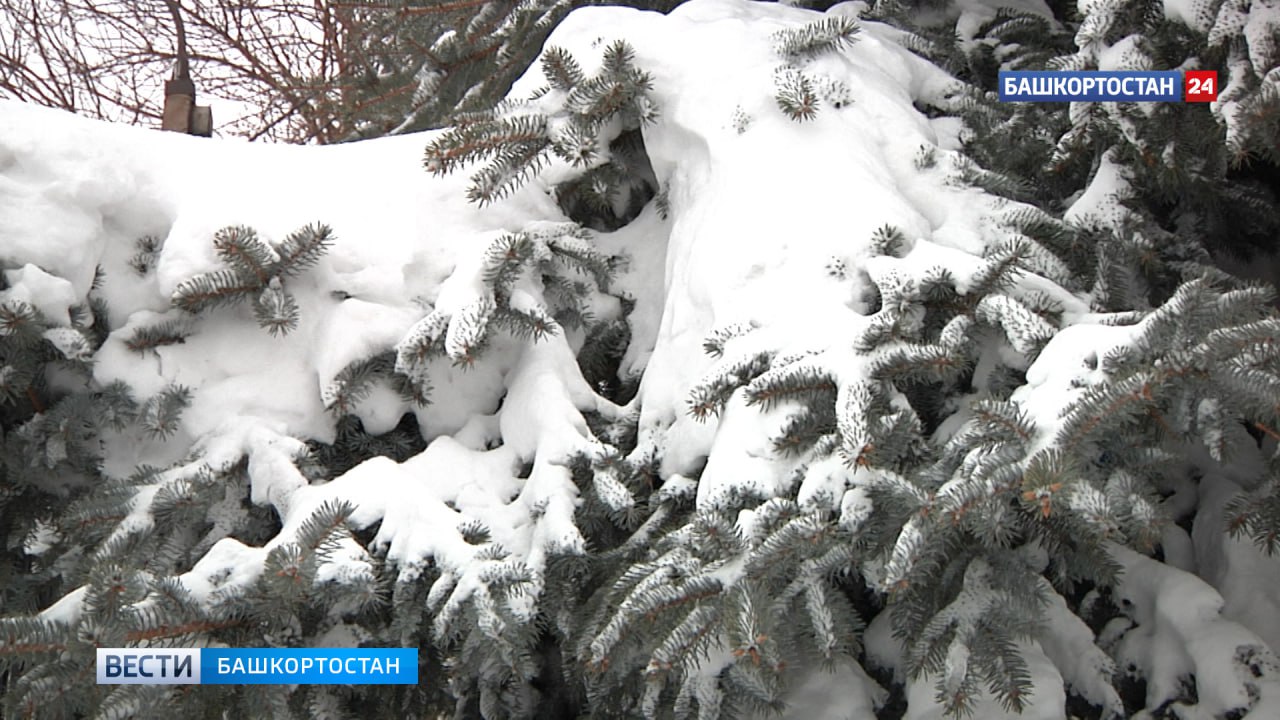 Выходные в Башкирии будут снежными