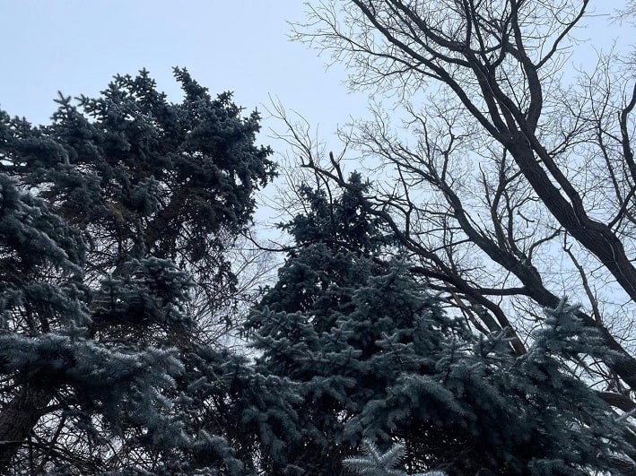 По данным Башгидромета, 13 декабря на территории республики ожидается облачная погода