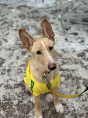 Прямо сейчас на площади Орджоникидзе идет акция «Ищу человека»