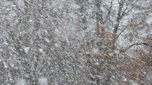 В Башкирии ожидаются метели