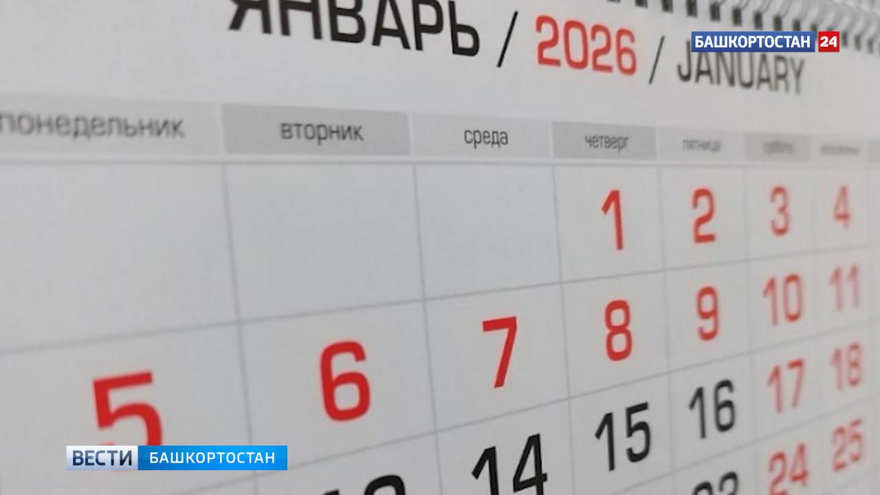 Минпросвещения России предложило девятидневные зимние каникулы для школьников