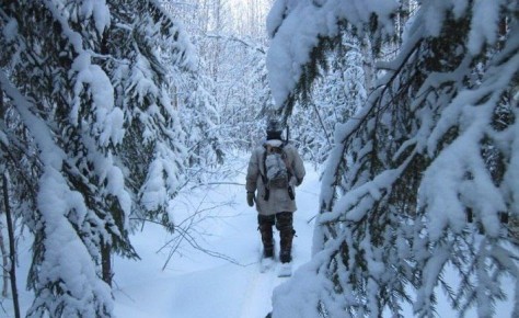 По данным Башгидромета, 14 декабря на территории республики ожидается облачная погода