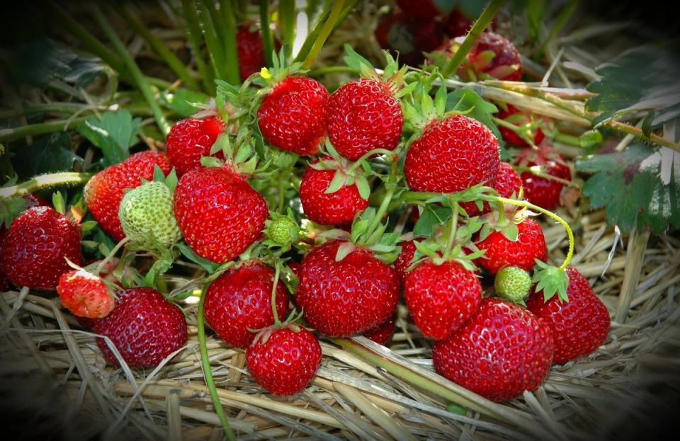 ��� ������� ����������� ��������� � ����