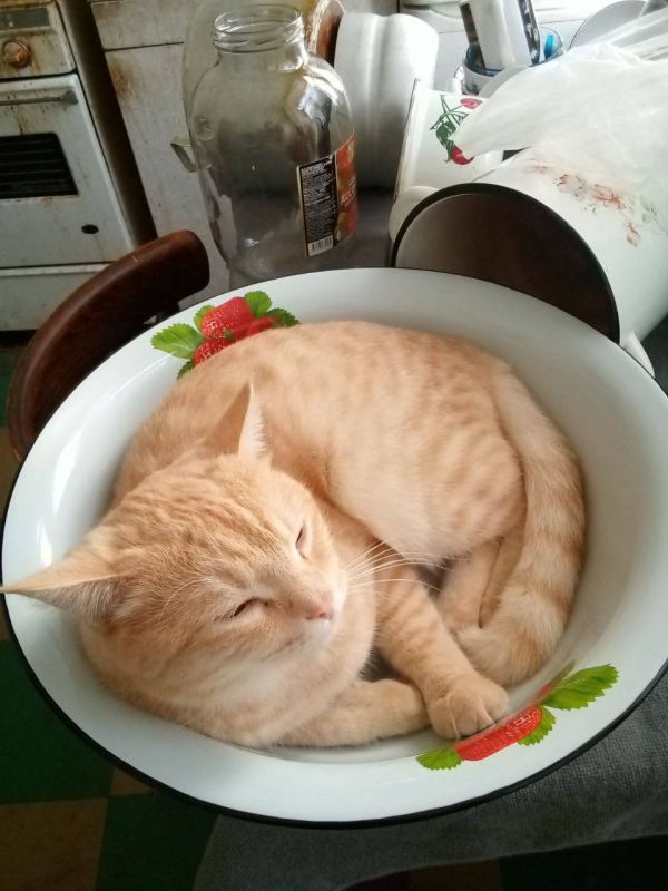 ������ ���� � ������. ������� ����������� �� ���������� �������