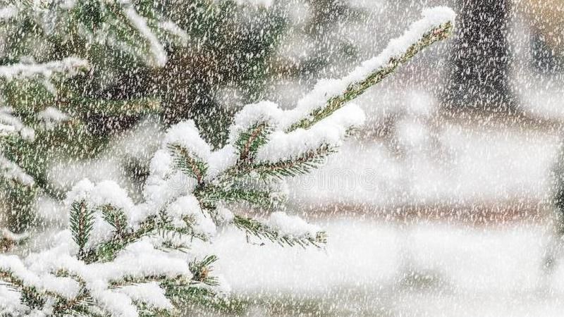 � �������� ��������� ���� � ������