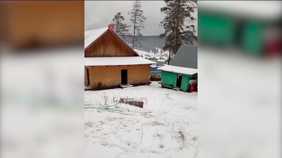 � ���������� ������ ������������� ����� ����� ������