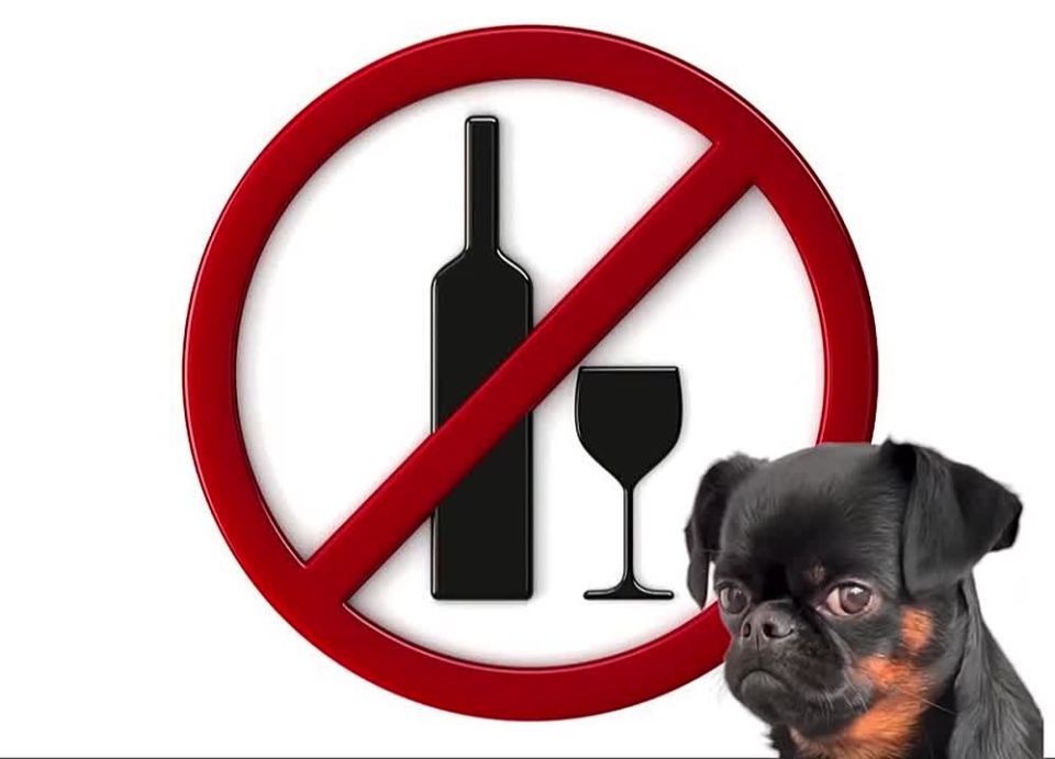 � ��� �� ���������� ��������� ������ ����������� �� ������� �������� ��������